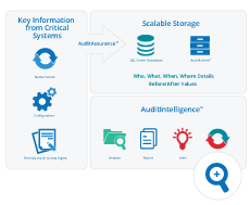 Netwrix Auditing Platform Architecture