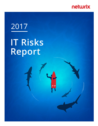 2017 IT Risks Report