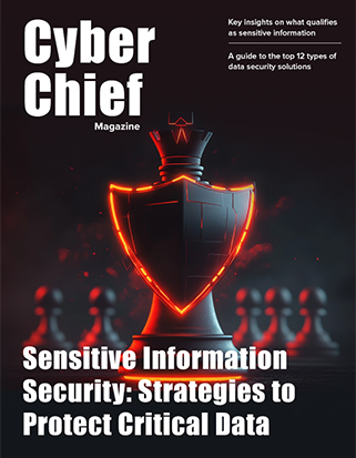 Sensitive Information Security: Strategies to Protect Critical Data image