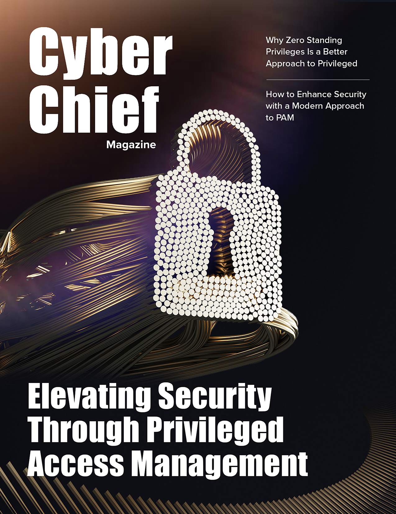 Elevating Security Through Privileged Access Management