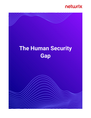 The Human Security Gap