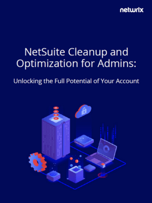 NetSuite Clean Up and Optimization