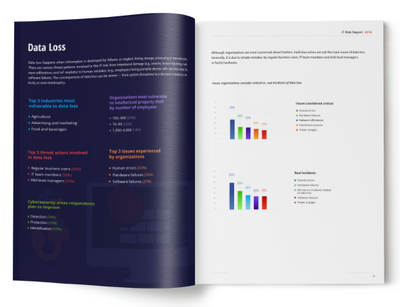 2018 Netwrix IT Risks Report 